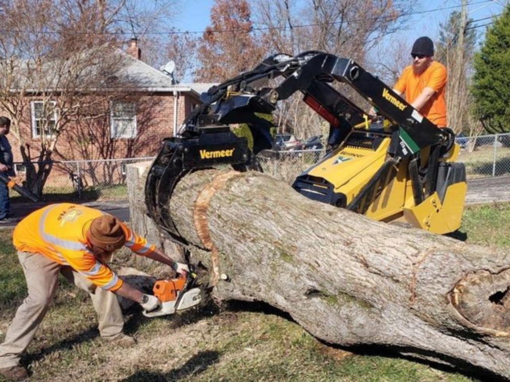 Chainsaw cutting a log during land clearing work by JKT Outdoor Services Ltd. in Parkland County, Alberta, Canada.